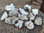 Natural Drusy Snow Finger Quartz Coated Clusters x 12 From Albert's Mountain, Lesotho - Toprock Gemstones and Minerals 