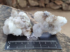 Natural Drusy Snow Finger Quartz Coated Clusters x 12 From Albert's Mountain, Lesotho - Toprock Gemstones and Minerals 