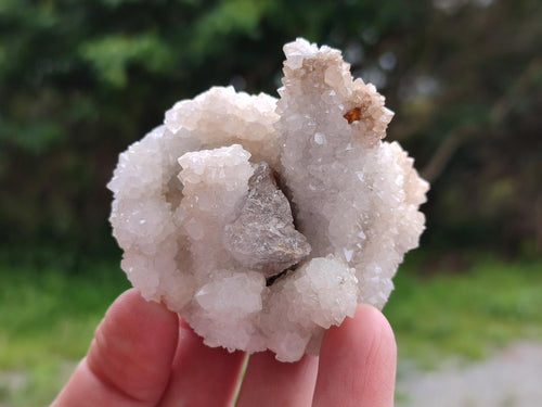 Natural Drusy Snow Finger Quartz Coated Clusters x 12 From Albert's Mountain, Lesotho - Toprock Gemstones and Minerals 