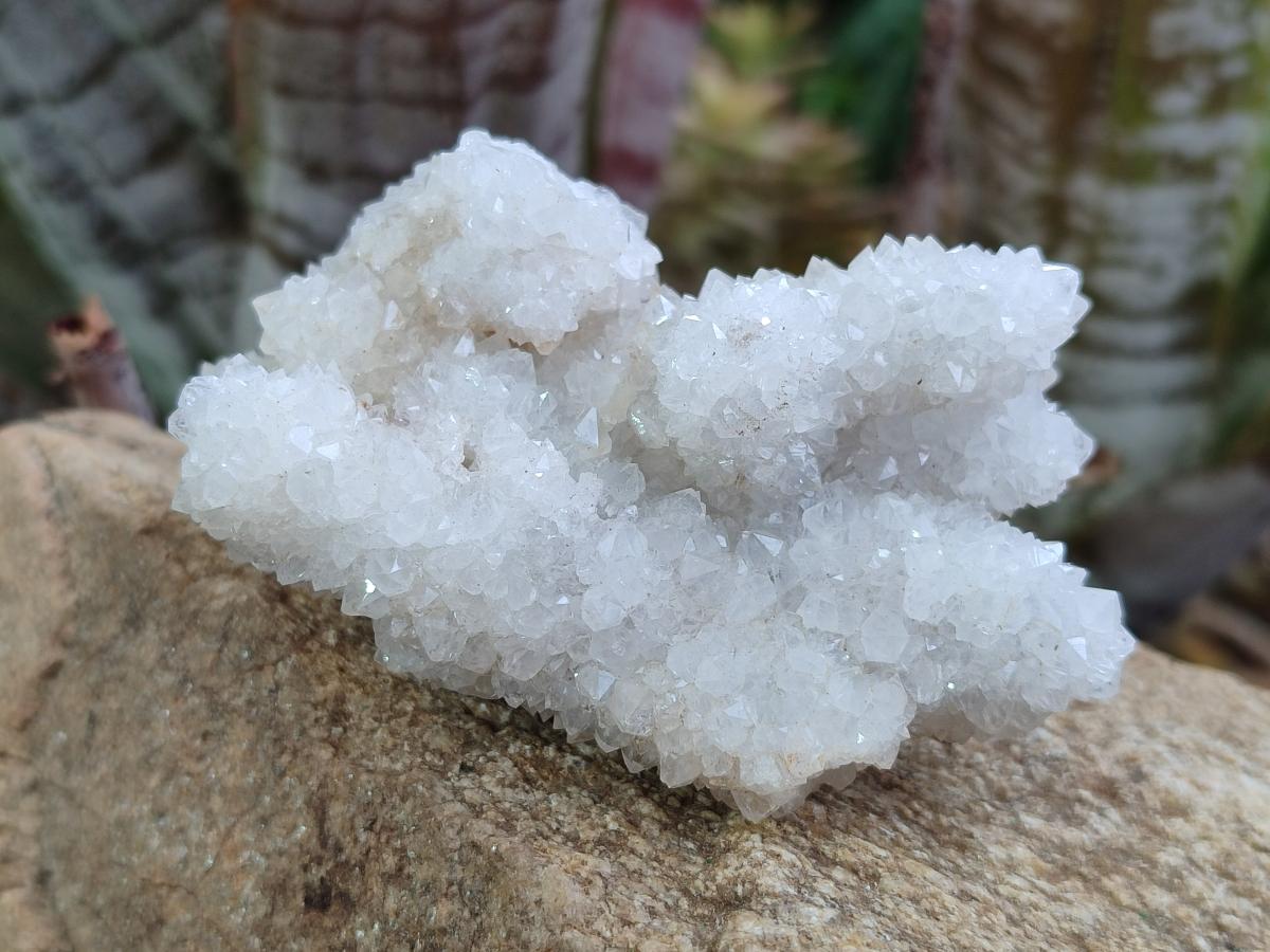 Natural Drusy Snow Finger Quartz Coated Clusters x 12 From Albert's Mountain, Lesotho - Toprock Gemstones and Minerals 