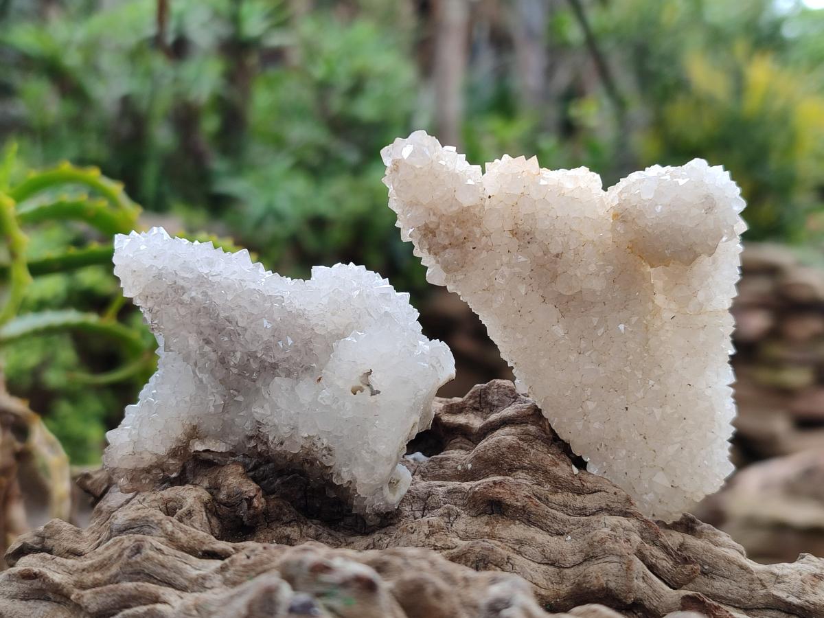 Natural Drusy Snow Finger Quartz Coated Clusters x 12 From Albert's Mountain, Lesotho - Toprock Gemstones and Minerals 