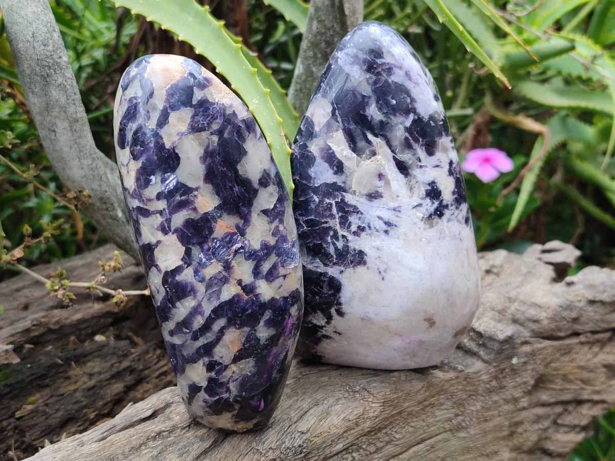 Polished Lepidolite Standing Display Pieces x 2 From Zimbabwe - Toprock Gemstones and Minerals 