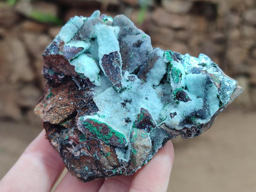 Natural Drusy Coated Chrysocolla Specimens x 6 From Lupoto Mine, Congo - Toprock Gemstones and Minerals 