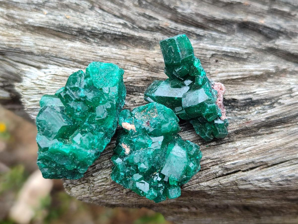 Natural Mini Dioptase Specimens on Dolomite Matrix x 35 From Tantara Mine, Congo - Toprock Gemstones and Minerals 