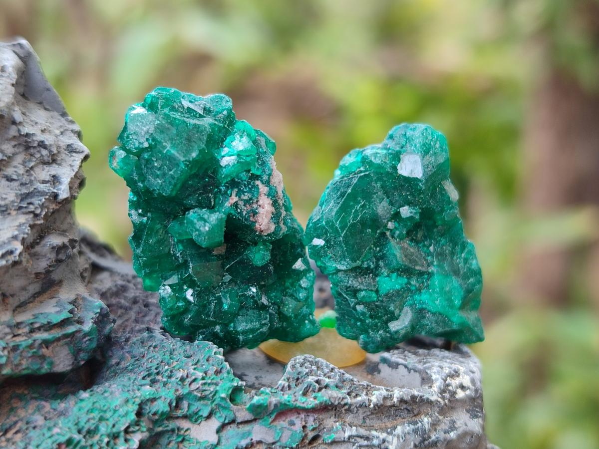Natural Mini Dioptase Specimens on Dolomite Matrix x 35 From Tantara Mine, Congo - Toprock Gemstones and Minerals 