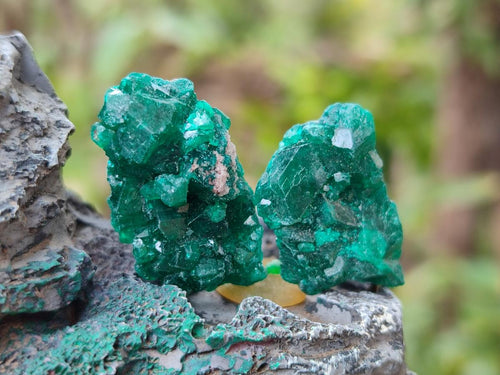 Natural Mini Dioptase Specimens on Dolomite Matrix x 35 From Tantara Mine, Congo - Toprock Gemstones and Minerals 