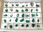 Natural Mini Dioptase Specimens on Dolomite Matrix x 35 From Tantara Mine, Congo - Toprock Gemstones and Minerals 