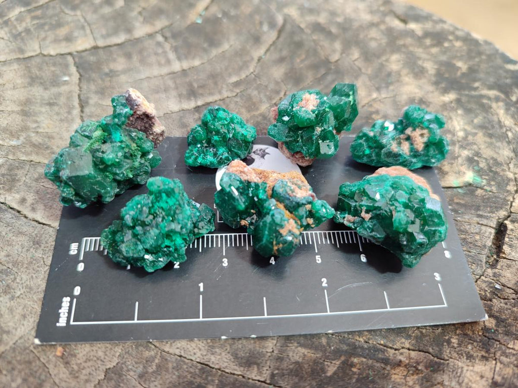 Natural Mini Dioptase Specimens on Dolomite Matrix x 35 From Tantara Mine, Congo - Toprock Gemstones and Minerals 