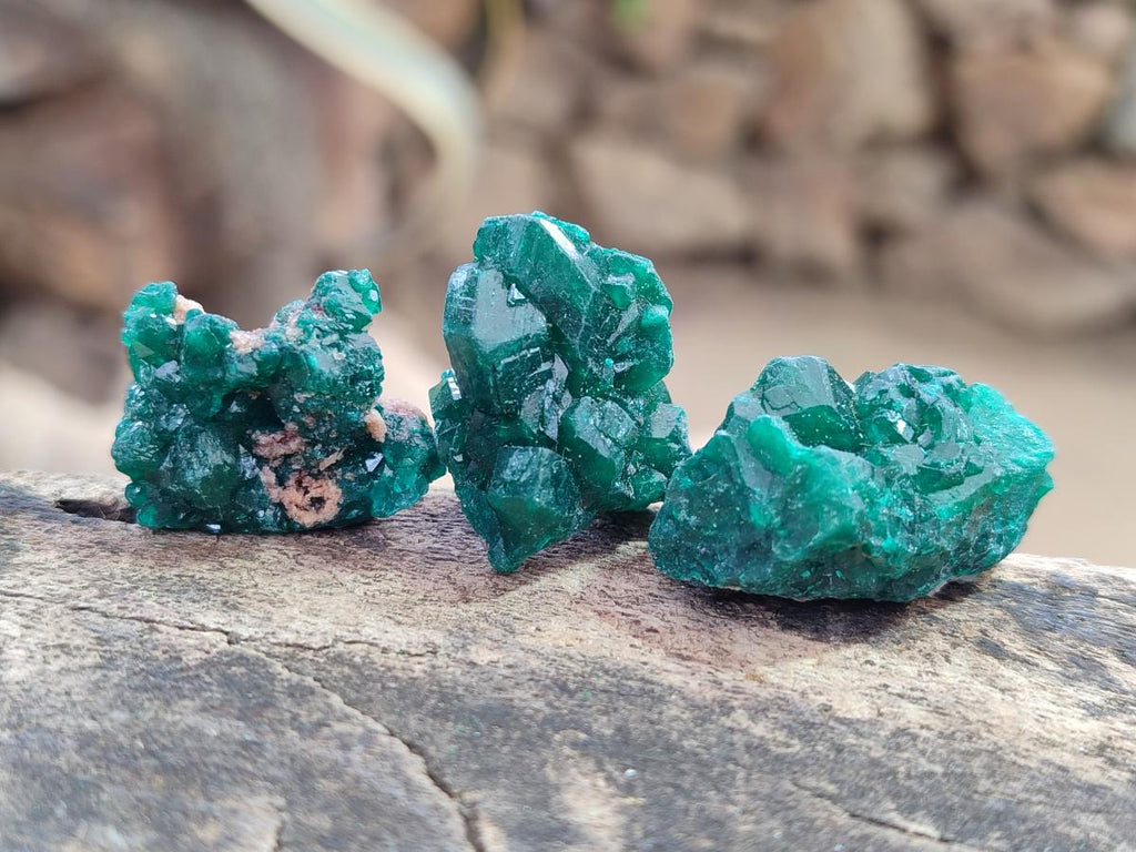 Natural Mini Dioptase Specimens on Dolomite Matrix x 35 From Tantara Mine, Congo - Toprock Gemstones and Minerals 