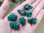 Natural Mini Dioptase Specimens on Dolomite Matrix x 35 From Tantara Mine, Congo - Toprock Gemstones and Minerals 