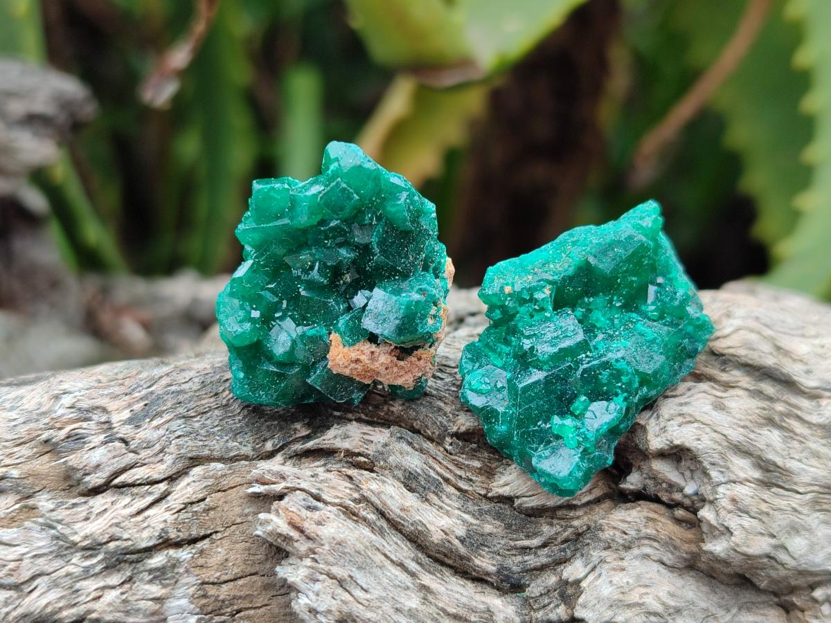 Natural Mini Dioptase Specimens on Dolomite Matrix x 35 From Tantara Mine, Congo - Toprock Gemstones and Minerals 