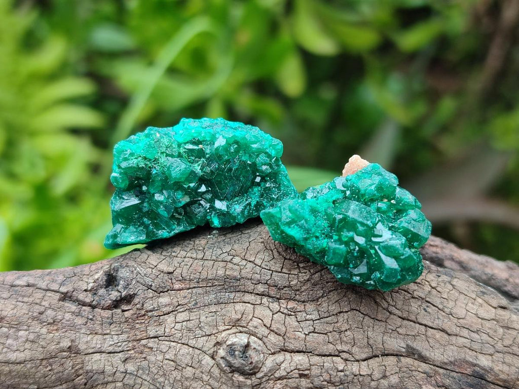 Natural Mini Dioptase Specimens on Dolomite Matrix x 35 From Tantara Mine, Congo - Toprock Gemstones and Minerals 