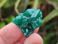 Natural Mini Dioptase Specimens on Dolomite Matrix x 35 From Tantara Mine, Congo - Toprock Gemstones and Minerals 