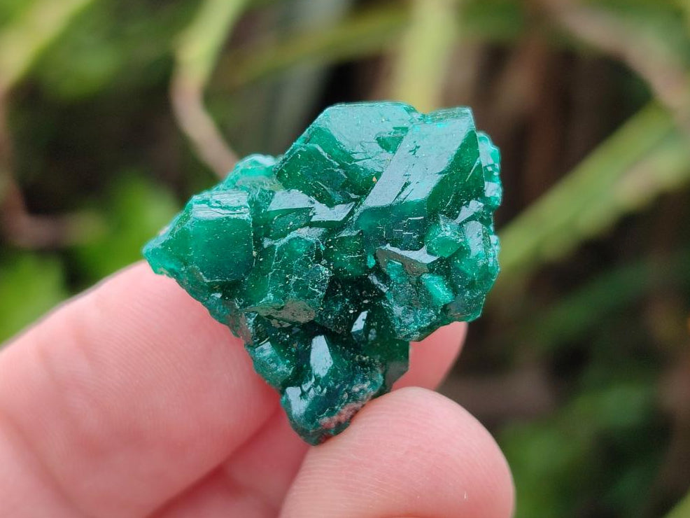 Natural Mini Dioptase Specimens on Dolomite Matrix x 35 From Tantara Mine, Congo - Toprock Gemstones and Minerals 