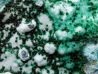 Natural Drusy Coated Chrysocolla with Malachite x 12 From Lupoto Mine, Congo - Toprock Gemstones and Minerals 
