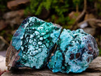 Natural Drusy Coated Chrysocolla with Malachite x 12 From Lupoto Mine, Congo - Toprock Gemstones and Minerals 