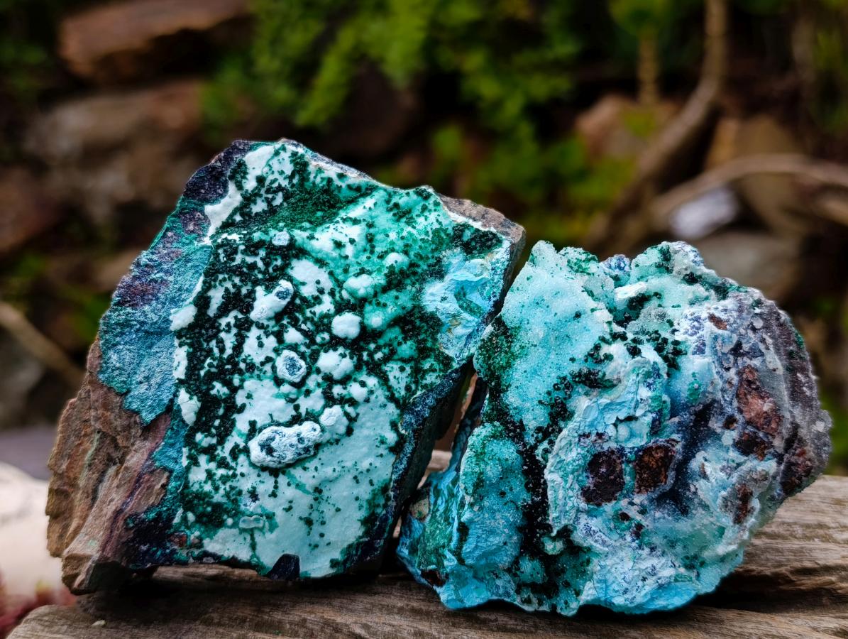 Natural Drusy Coated Chrysocolla with Malachite x 12 From Lupoto Mine, Congo - Toprock Gemstones and Minerals 