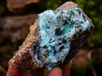 Natural Drusy Coated Chrysocolla with Malachite x 12 From Lupoto Mine, Congo - Toprock Gemstones and Minerals 
