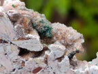 Natural Drusy Coated Chrysocolla with Malachite x 12 From Lupoto Mine, Congo - Toprock Gemstones and Minerals 
