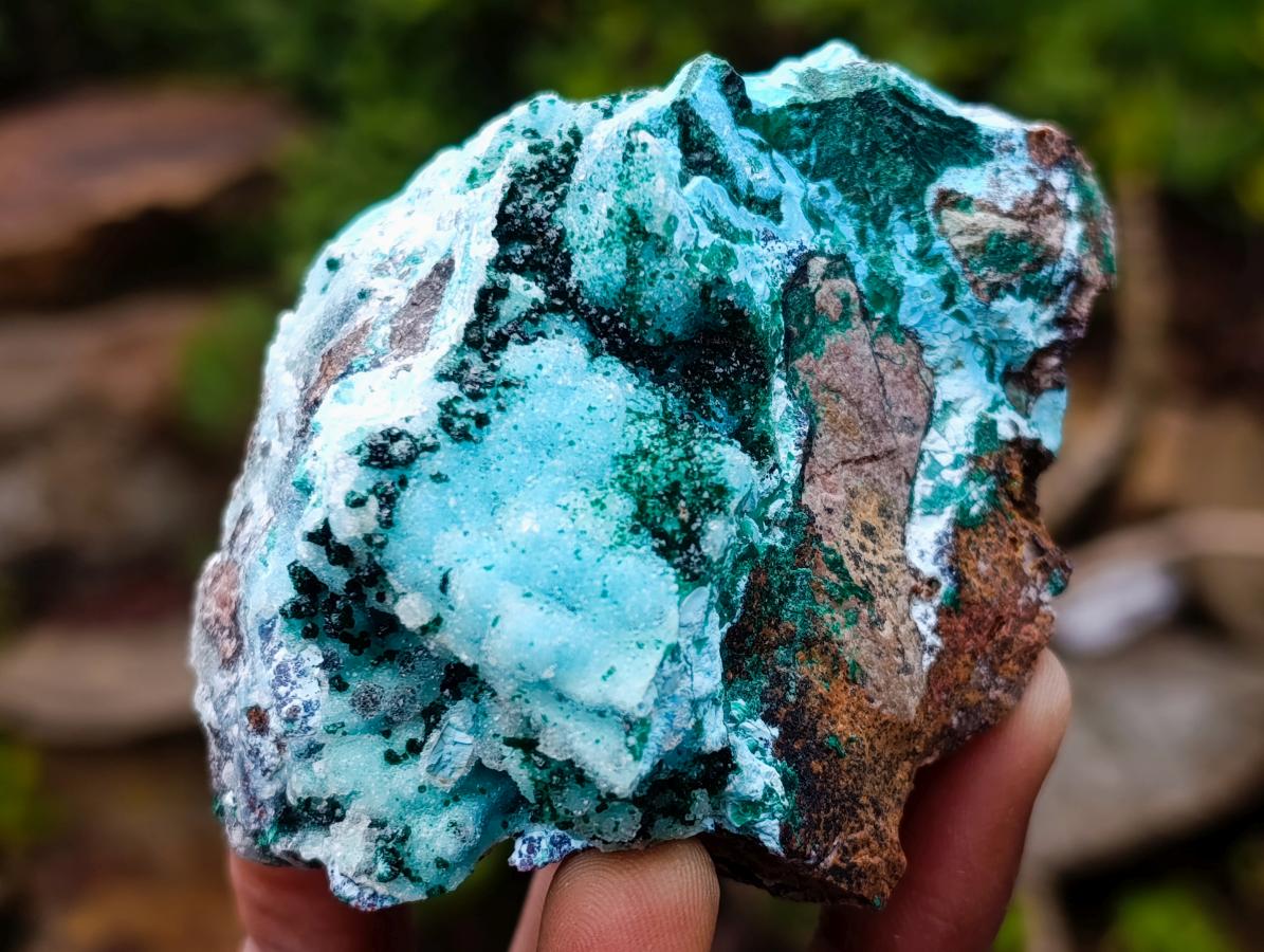 Natural Drusy Coated Chrysocolla with Malachite x 12 From Lupoto Mine, Congo - Toprock Gemstones and Minerals 