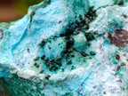 Natural Drusy Coated Chrysocolla with Malachite x 12 From Lupoto Mine, Congo - Toprock Gemstones and Minerals 