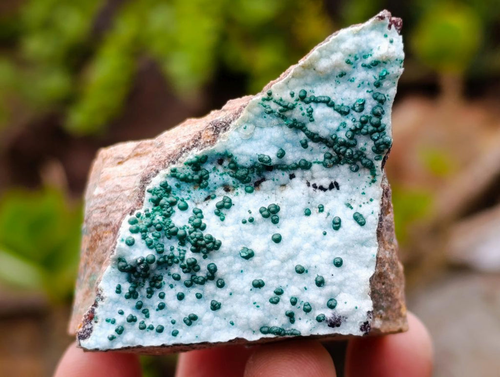 Natural Drusy Coated Chrysocolla with Malachite x 12 From Lupoto Mine, Congo - Toprock Gemstones and Minerals 