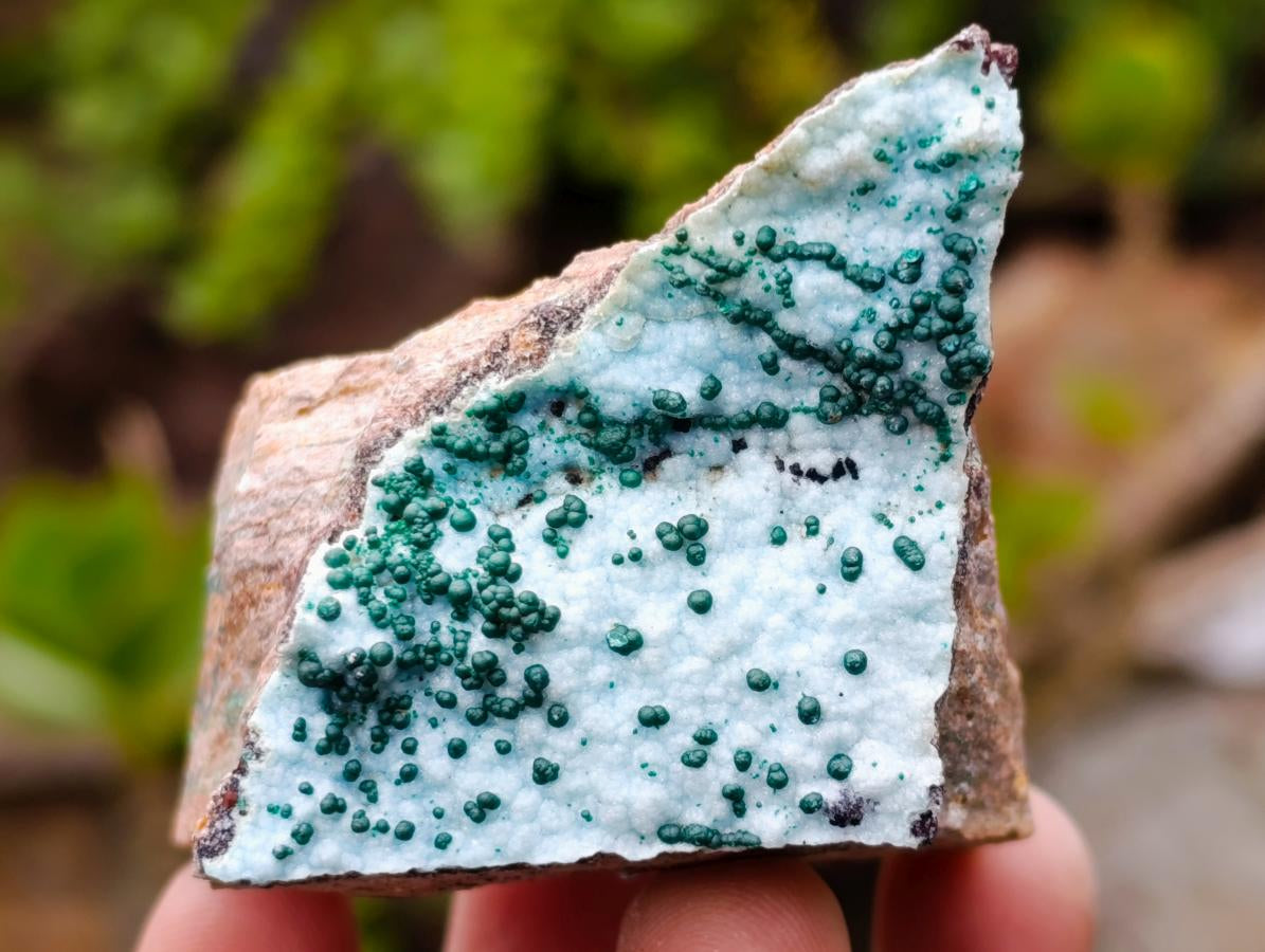 Natural Drusy Coated Chrysocolla with Malachite x 12 From Lupoto Mine, Congo - Toprock Gemstones and Minerals 