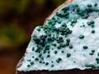 Natural Drusy Coated Chrysocolla with Malachite x 12 From Lupoto Mine, Congo - Toprock Gemstones and Minerals 