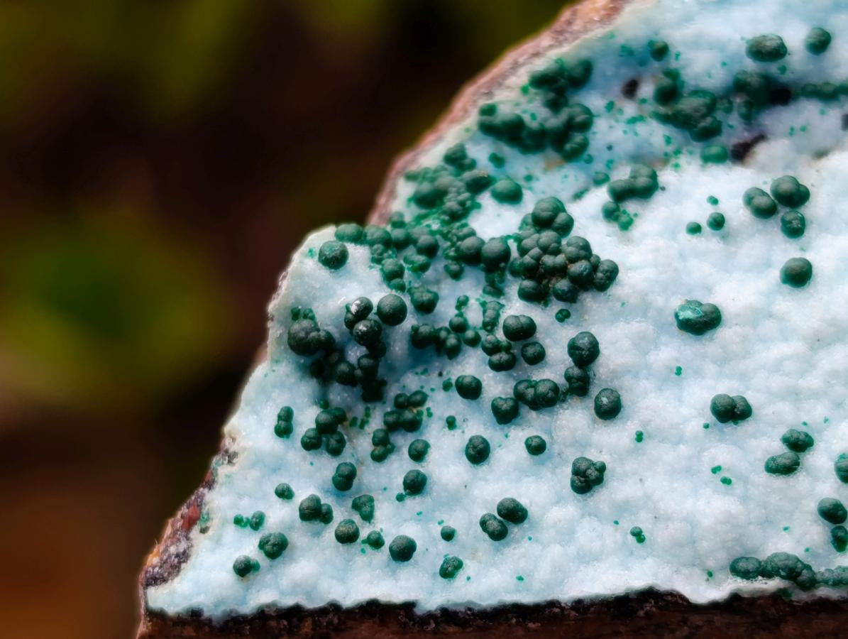 Natural Drusy Coated Chrysocolla with Malachite x 12 From Lupoto Mine, Congo - Toprock Gemstones and Minerals 