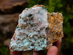 Natural Drusy Coated Chrysocolla with Malachite x 12 From Lupoto Mine, Congo - Toprock Gemstones and Minerals 