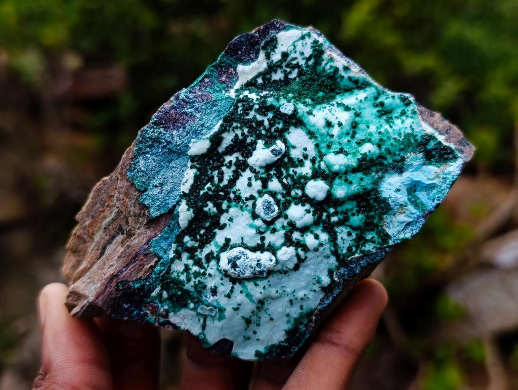Natural Drusy Coated Chrysocolla with Malachite x 12 From Lupoto Mine, Congo - Toprock Gemstones and Minerals 