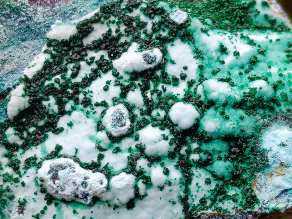 Natural Drusy Coated Chrysocolla with Malachite x 12 From Lupoto Mine, Congo - Toprock Gemstones and Minerals 