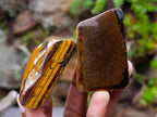 Polished Golden Tigers Eye Tumbled Slices x 24 From Prieska, South Africa - Toprock Gemstones and Minerals 