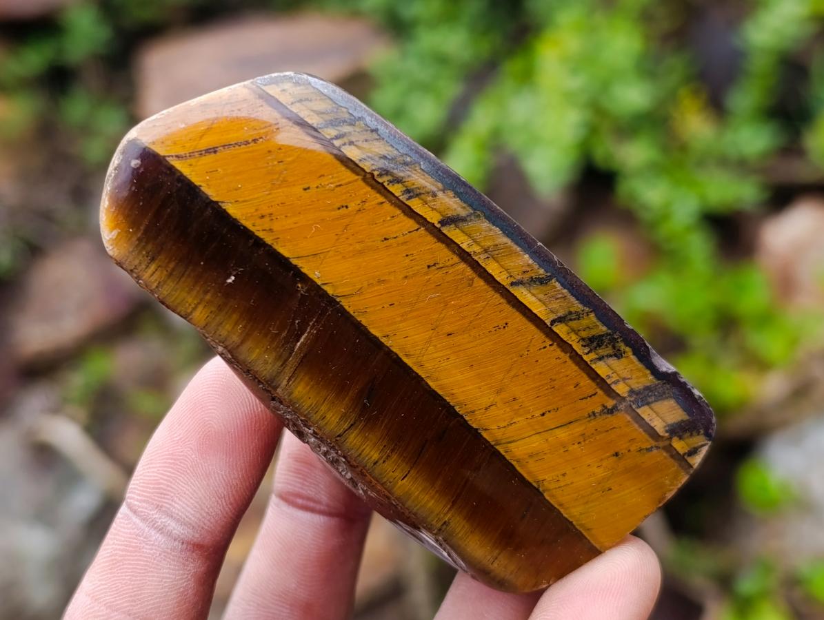 Polished Golden Tigers Eye Tumbled Slices x 24 From Prieska, South Africa - Toprock Gemstones and Minerals 