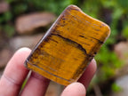Polished Golden Tigers Eye Tumbled Slices x 24 From Prieska, South Africa - Toprock Gemstones and Minerals 