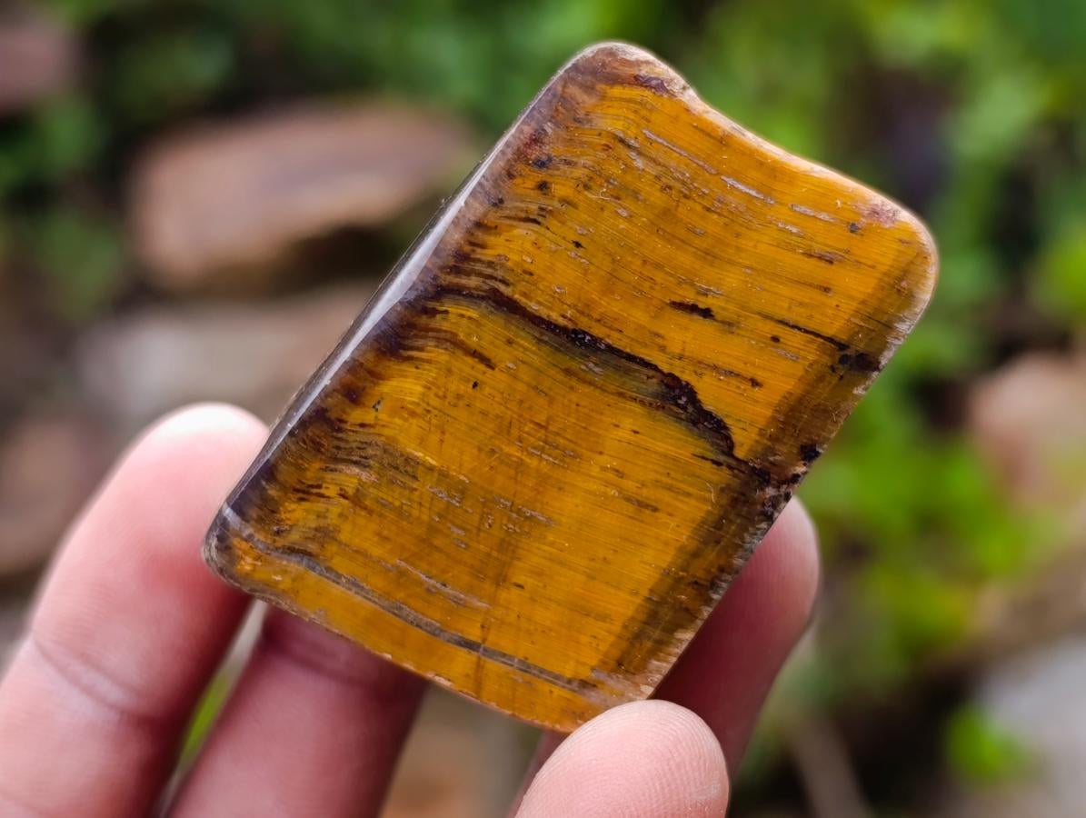 Polished Golden Tigers Eye Tumbled Slices x 24 From Prieska, South Africa - Toprock Gemstones and Minerals 