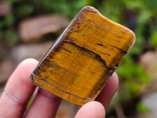 Polished Golden Tigers Eye Tumbled Slices x 24 From Prieska, South Africa - Toprock Gemstones and Minerals 