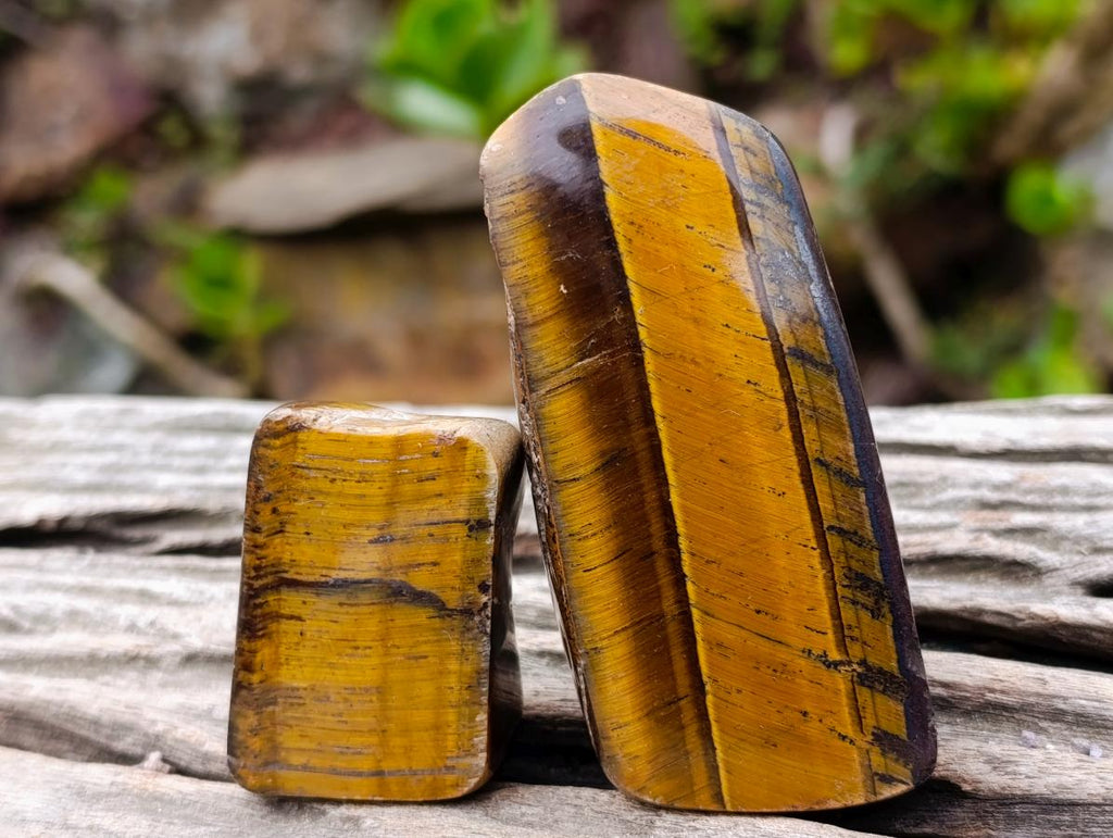 Polished Golden Tigers Eye Tumbled Slices x 24 From Prieska, South Africa - Toprock Gemstones and Minerals 