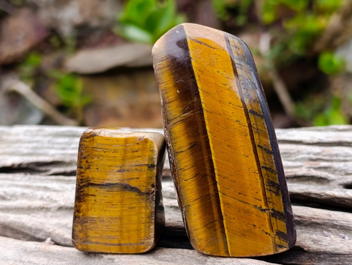 Polished Golden Tigers Eye Tumbled Slices x 24 From Prieska, South Africa - Toprock Gemstones and Minerals 