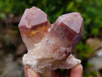 Natural Red Hematoid Quartz Crystals and Clusters x 12 From Karoi, Zimbabwe - Toprock Gemstones and Minerals 