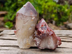 Natural Red Hematoid Quartz Crystals and Clusters x 12 From Karoi, Zimbabwe - Toprock Gemstones and Minerals 