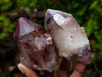 Natural Red Hematoid Quartz Crystals and Clusters x 12 From Karoi, Zimbabwe - Toprock Gemstones and Minerals 