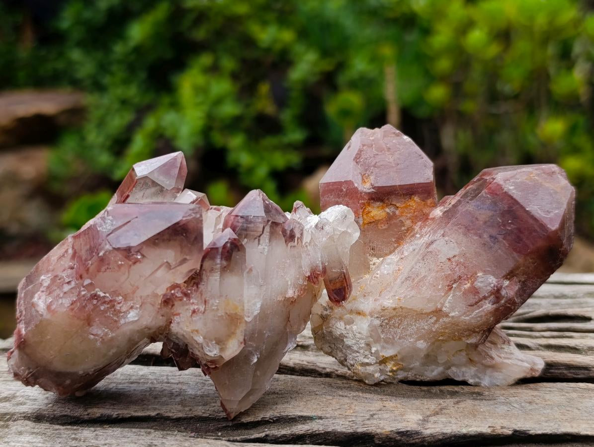 Natural Red Hematoid Quartz Crystals and Clusters x 12 From Karoi, Zimbabwe - Toprock Gemstones and Minerals 