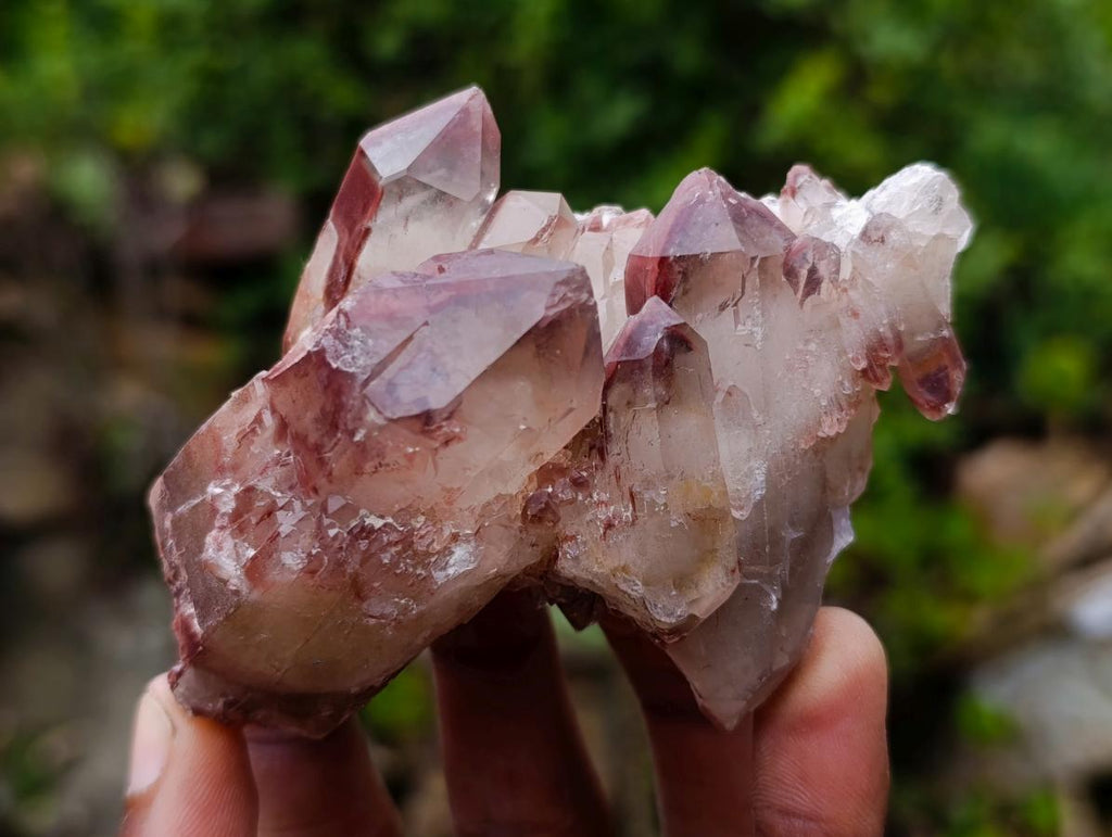 Natural Red Hematoid Quartz Crystals and Clusters x 12 From Karoi, Zimbabwe - Toprock Gemstones and Minerals 