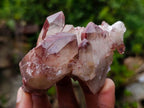 Natural Red Hematoid Quartz Crystals and Clusters x 12 From Karoi, Zimbabwe - Toprock Gemstones and Minerals 