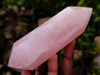 Polished Gemmy Rose Quartz Crystals and Double Terminated Crystals x 6 From Madagascar - Toprock Gemstones and Minerals 