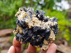 Natural Schorl Black Tourmaline with Vermiculite Mica x 6 From Erongo, Namibia - Toprock Gemstones and Minerals 