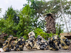Natural Schorl Black Tourmaline with Vermiculite Mica x 6 From Erongo, Namibia - Toprock Gemstones and Minerals 