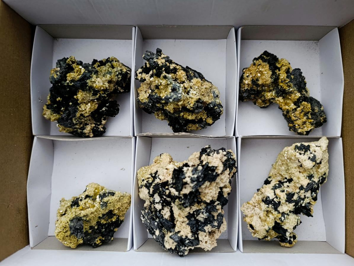Natural Schorl Black Tourmaline with Vermiculite Mica x 6 From Erongo, Namibia - Toprock Gemstones and Minerals 