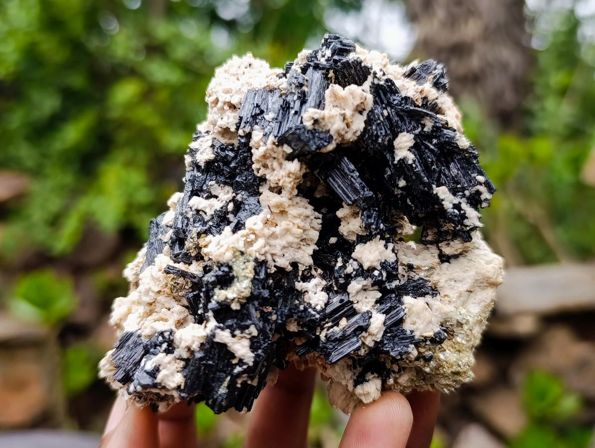 Natural Schorl Black Tourmaline with Vermiculite Mica x 6 From Erongo, Namibia - Toprock Gemstones and Minerals 